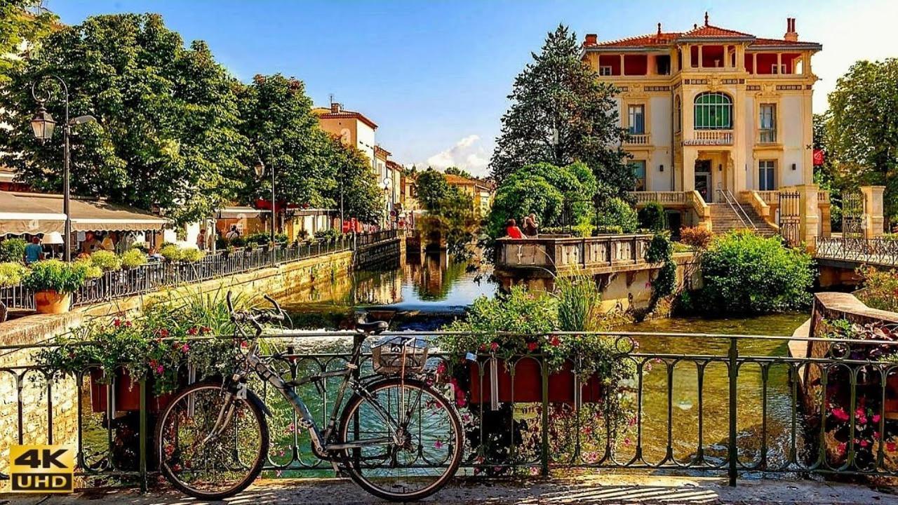 Un Petit Nid Au Bord De La Sorgue Lägenhet LʼIsle-sur-la-Sorgue Exteriör bild